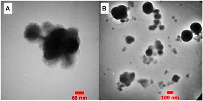 Melamine phosphate-modified magnetic chitosan: a novel biocompatible catalyst for the synthesis of biological tetrahydrodipyrazolopyridine and pyrazolopyranopyrimidine derivatives